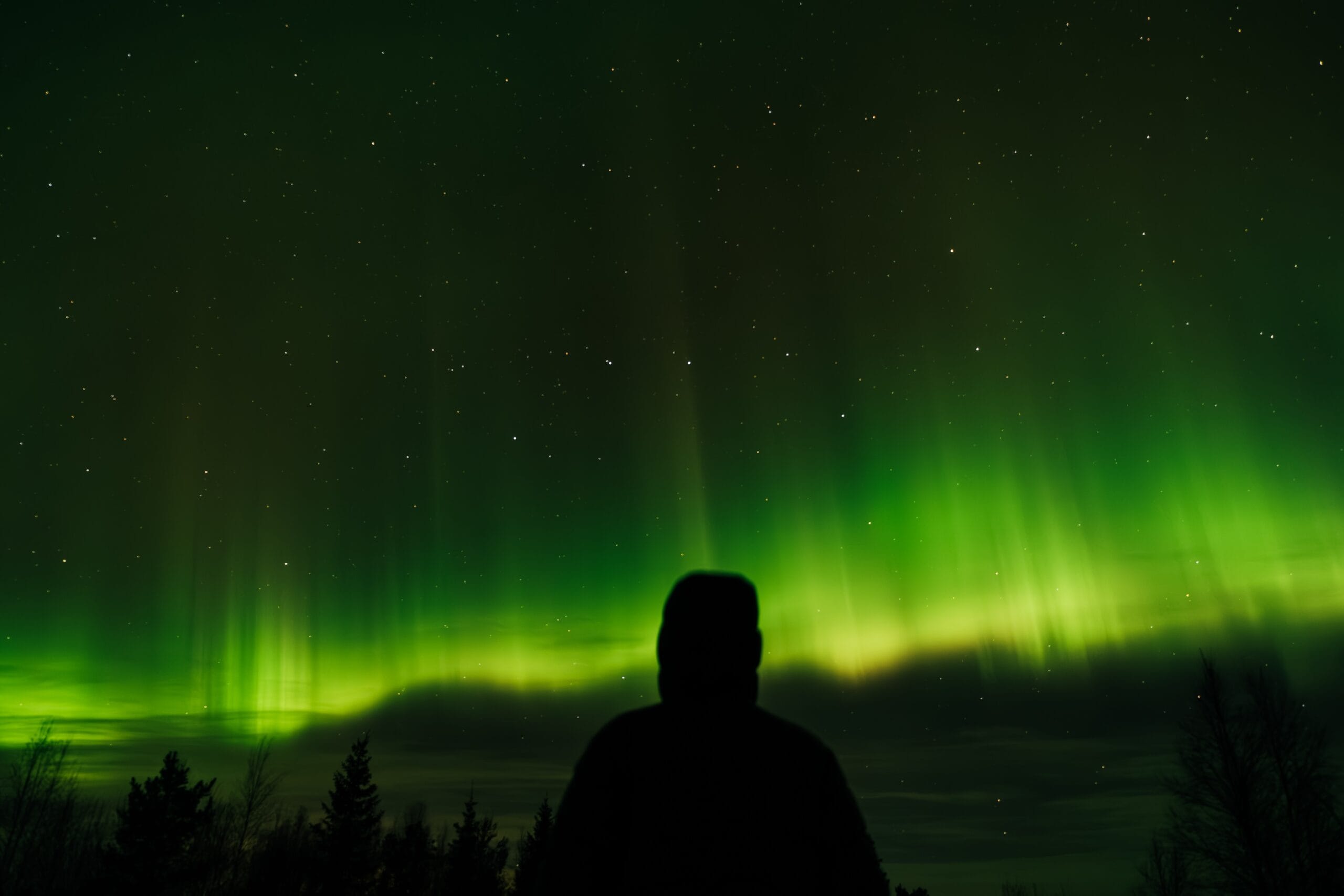 Jak prob&iacute;h&aacute; z&aacute;jezd?